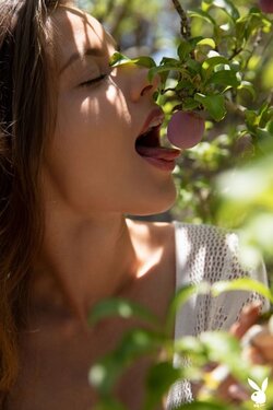 4B3AF817-48EC-408B-B74B-430E822183A7.jpeg