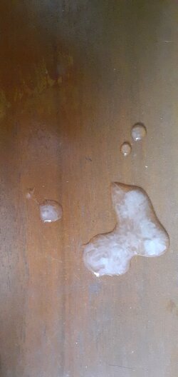 20210823_160732.jpg