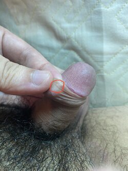DFF96249-A6EE-47CB-BD6A-1189867079B3.jpeg