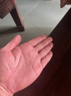 2E365485-A604-4E30-AA79-F056F46F88D9.jpeg