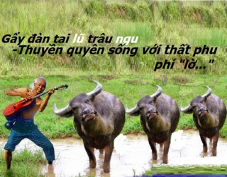 1630357544428.png