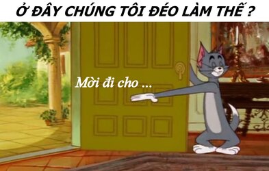 72.jpg