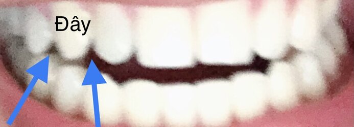 76FAC5B1-3B3E-482D-B011-4CC158417832.jpeg