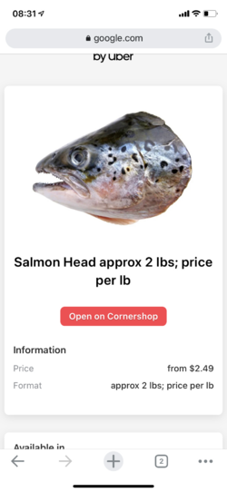 03F9D536-0D08-4C1E-BAF6-46C8EAE53888.png