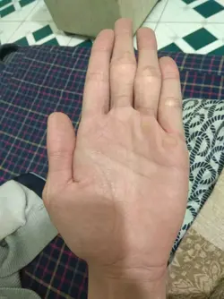 15815005733771013167229.webp