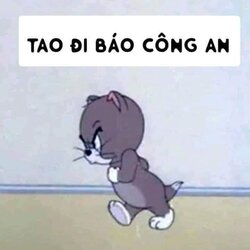 493544BF-A2C9-4419-ADA6-8E6542571A1E.jpeg