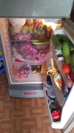 IMAG0120.jpg