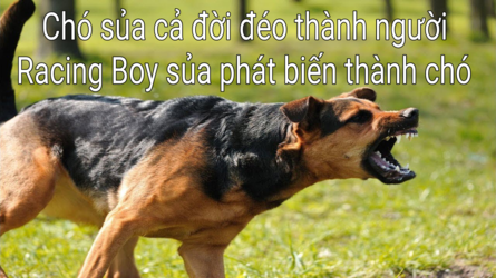 IMG_20210824_150239.png