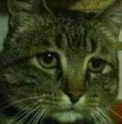 86621799_210225333703445_2909981604514365440_n.jpg