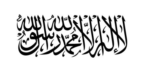 Flag_of_Taliban.svg.png