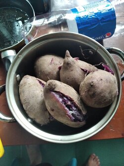 IMG_20210908_162806.jpg