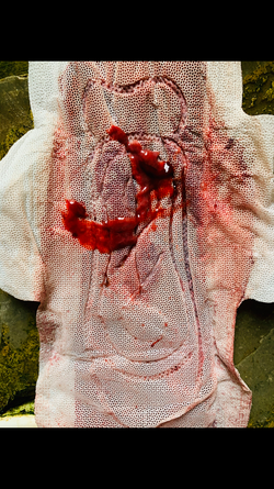 B1967388-372C-48DE-9A2C-75CC5CF2C405.png