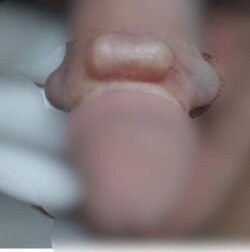 CB794559-8716-47DE-826E-45F935D0A501.jpeg