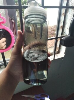IMG_20210912_141607.jpg