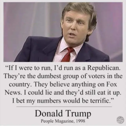 1631477563333.png