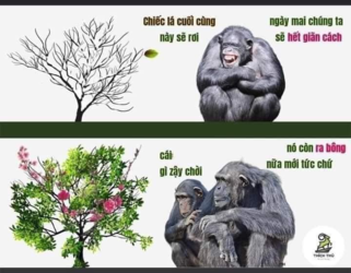 1631536507652.png