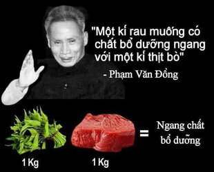 6893C524-0096-43FE-B33F-B55CCF4B905A.jpeg