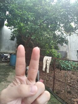 IMG_20210916_163257.jpg