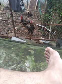 IMG_20210916_163858.jpg
