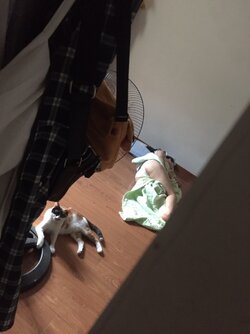 78DC0619-BF92-4D51-B4D6-26E69EEDF4D4.jpeg