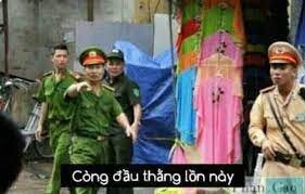 tải xuống.jpg