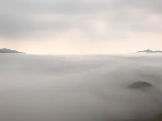 54922