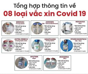 8-loai-vaccine.jpg