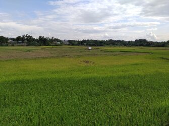 IMG_20210920_145622.jpg