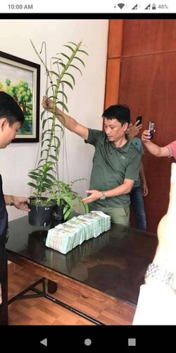 tải xuống (20).jpeg