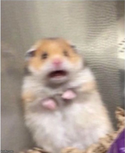 1632281331791.png