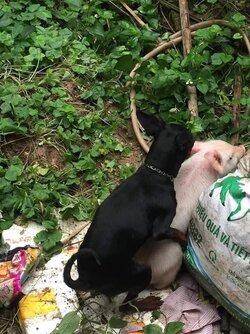 8060D261-0898-40B7-B9E0-D5EC0549D919.jpeg