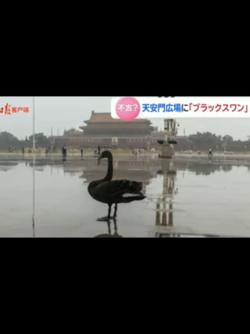 9ED29E1F-D184-47CF-83E1-76B700CDA2B8.png