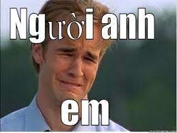 tải xuống (11).jpg