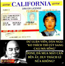 con tt mua quoc tich.png