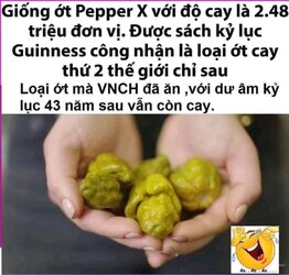 TROLL 3 SOC (27).jpg