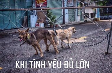 F39C2960-2EDB-4A5C-8246-28EFAC702345.jpeg