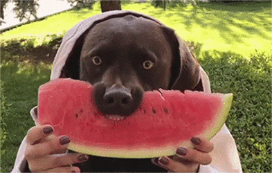 04147ec6f18b_4360.gif 04147ec6f18b_4360.gif