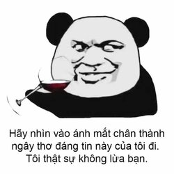chuphinh.jpeg
