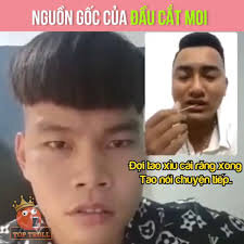 tải xuống (3).jpeg tải xuống (3).jpeg