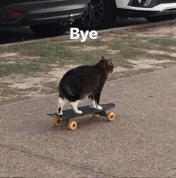 26880252-ED6D-427C-8957-E97023B04580.jpeg