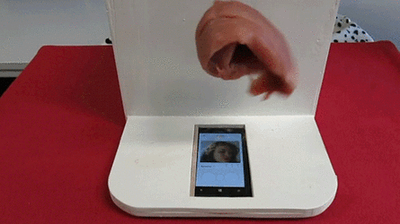 c65b93c31093_4360.gif