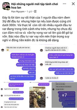 Screenshot_20210927-140637_Facebook.jpg