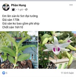 Screenshot_20210927-163045_Facebook.jpg