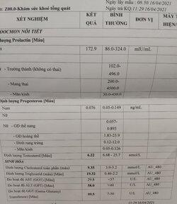 t4.2021.jpg