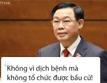 tải xuống (1)~2.jpeg
