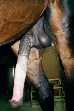 tumblr_ozyc73yuOL1wsoh9fo1_1280.jpg tumblr_ozyc73yuOL1wsoh9fo1_1280.jpg