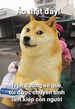 A3D60AB9-CFAA-42A5-B31C-0B169034FF90.jpeg A3D60AB9-CFAA-42A5-B31C-0B169034FF90.jpeg