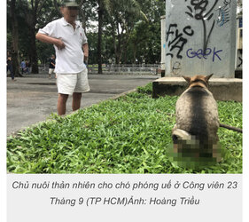 6E1A161D-E8AB-40E9-98F5-70EC942EF3A2.jpeg