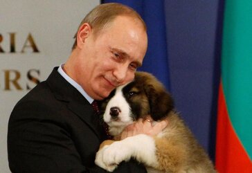 1444248414-putin-dog.jpg