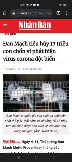 FB_IMG_1633977751452.jpg